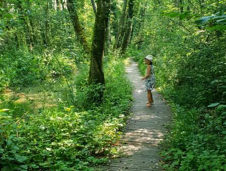 Walks and hikes